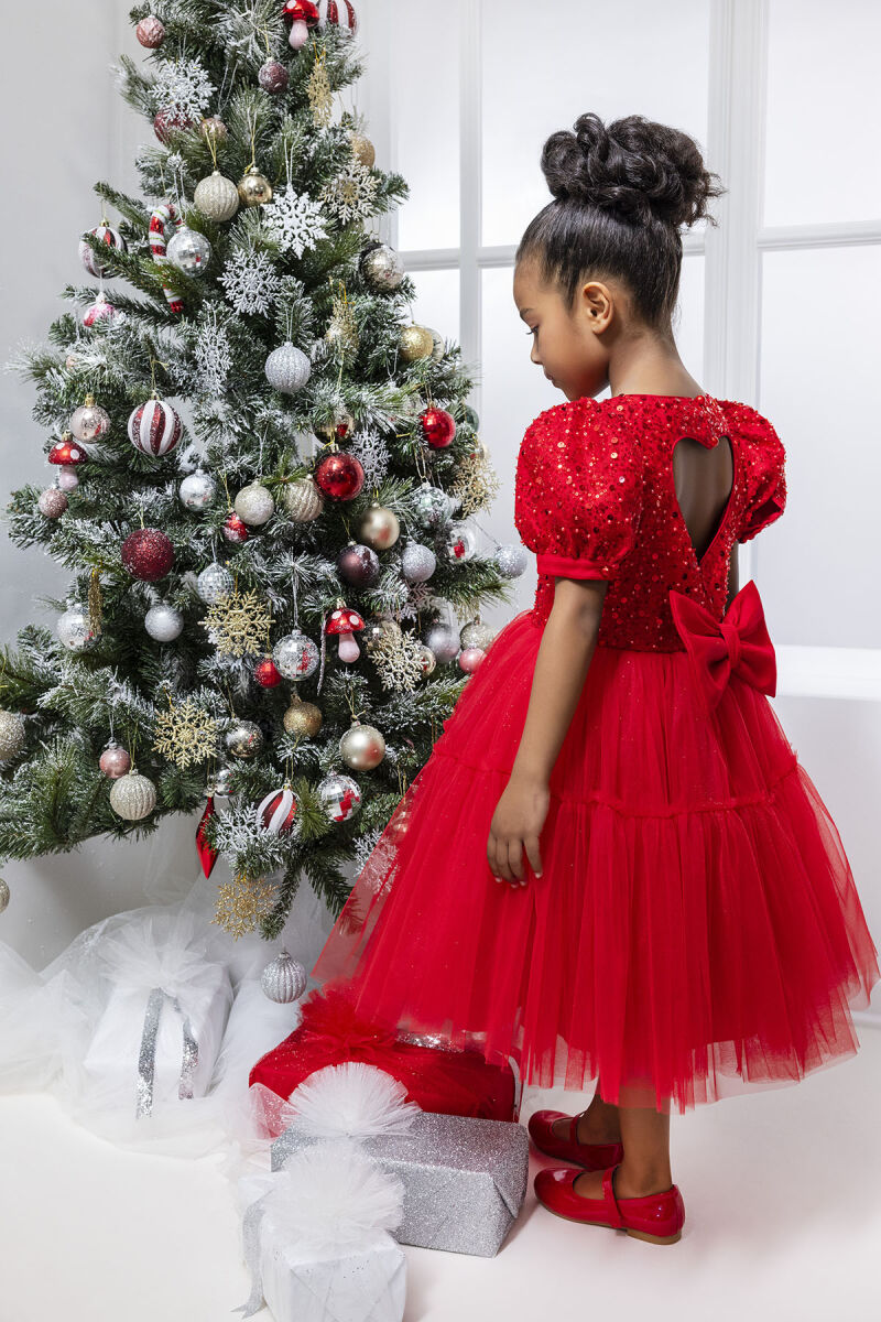 Red Puff Sleeve Girl's Dress 3-7 AGE 34052PR - 2