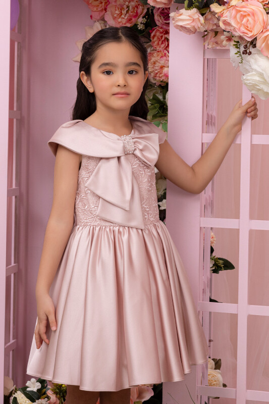 Powder Shawl Collar Girl's Dress 3-7 AGE 34008PR - 6