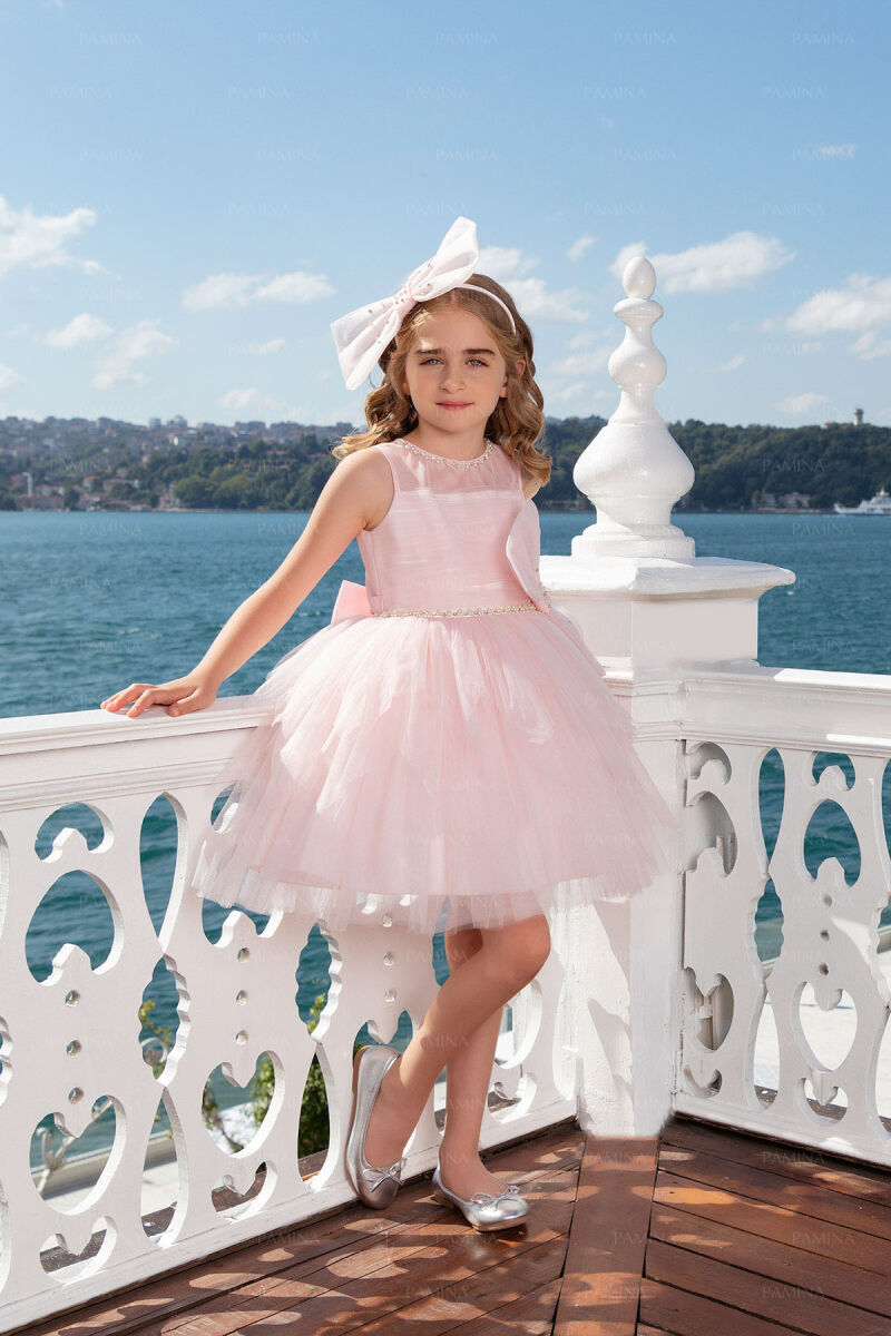 Powder Dress with Ballet Skirt 4-8 AGE 33008PR - 4