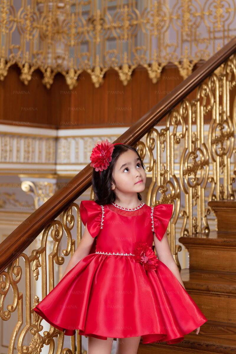 Red Ruffle-Sleeved Dress 6-12-18 MONTH 33121PR - 4