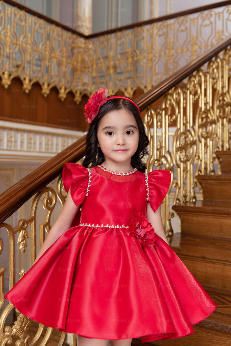 Red Ruffle-Sleeved Dress 6-12-18 MONTH 33121PR - 5