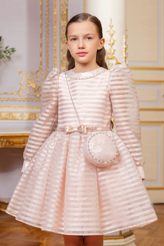Powder Striped Organza Dress 8-12 AGE 33054PR 