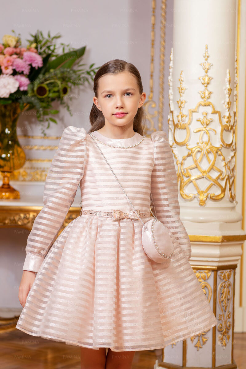 Powder Striped Organza Dress 8-12 AGE 33054PR - 3