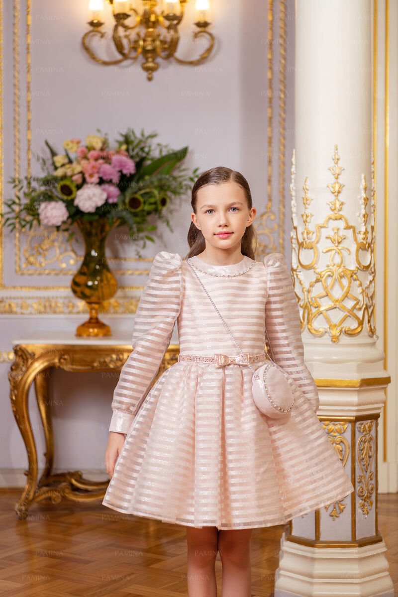 Powder Striped Organza Dress 8-12 AGE 33054PR - 5