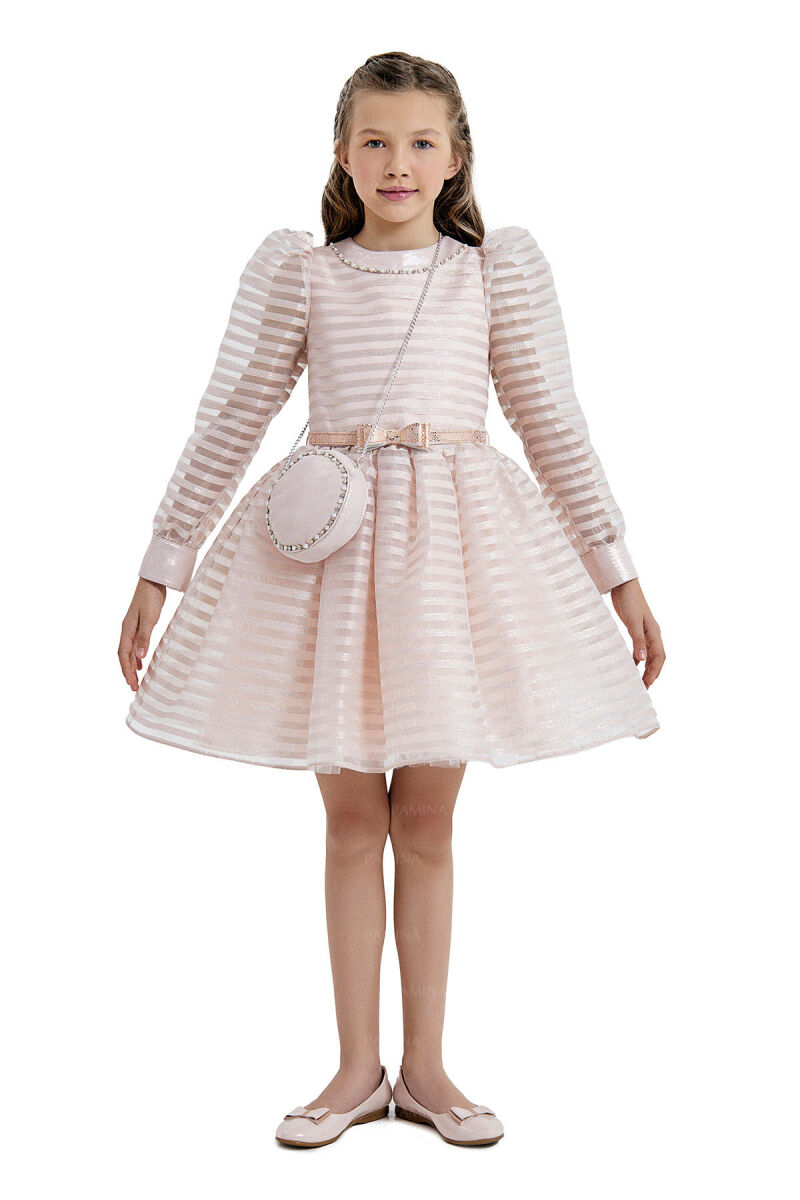 Powder Striped Organza Dress 8-12 AGE 33054PR - 6