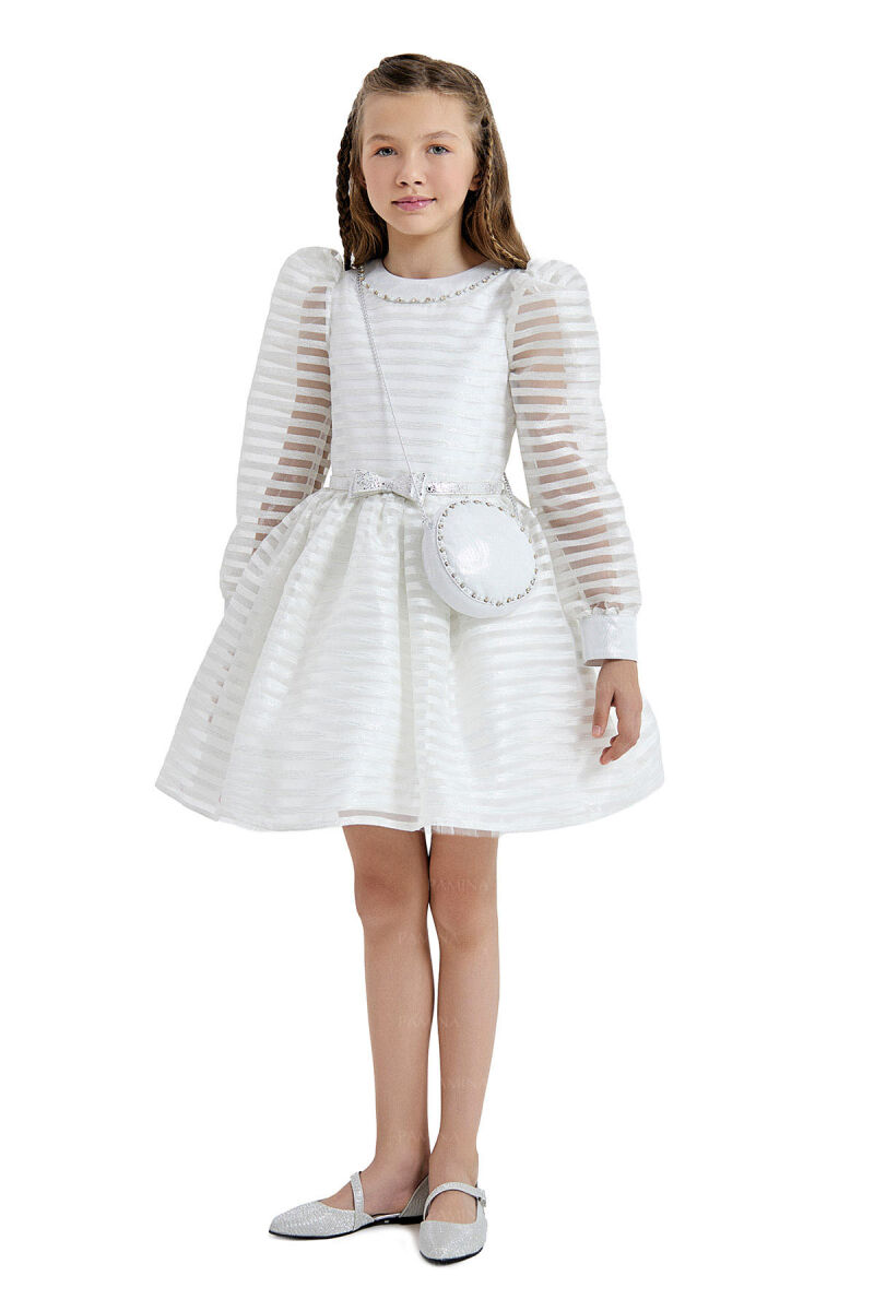 Silver Striped Organza Dress 8-12 AGE 33054PR - 2
