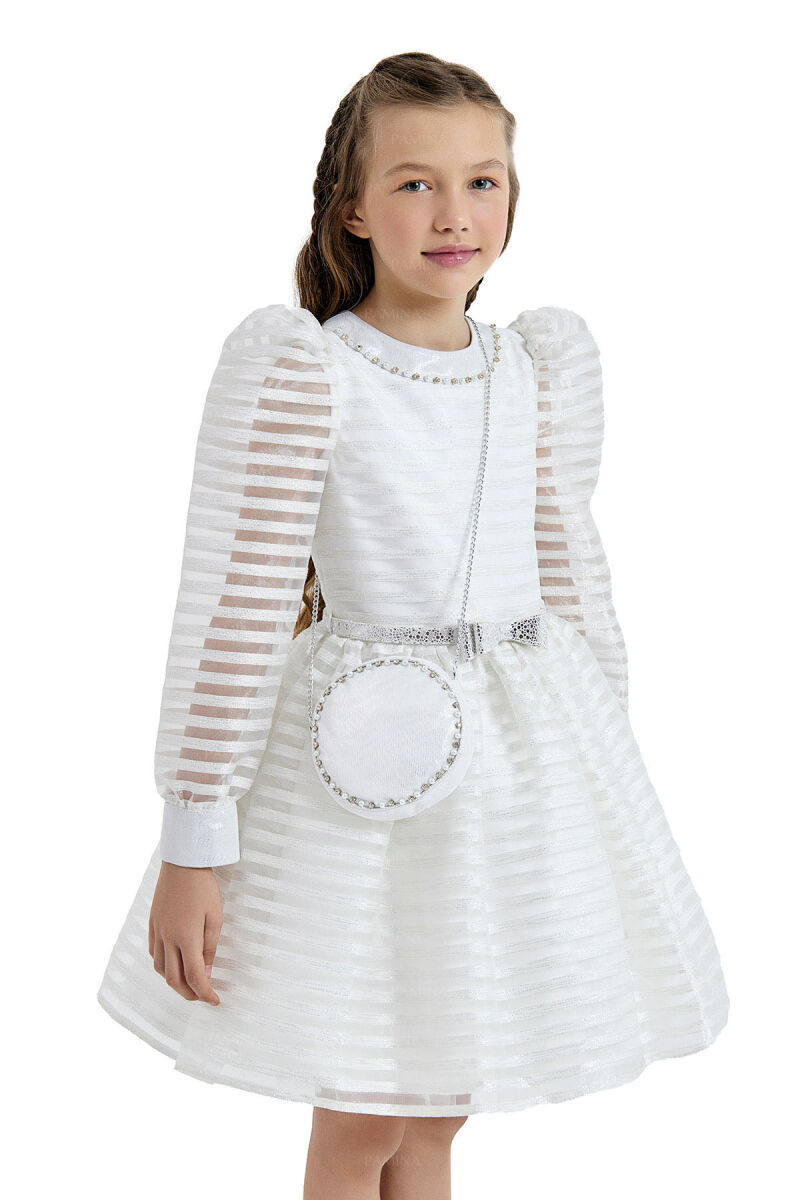 Silver Striped Organza Dress 8-12 AGE 33054PR - 3