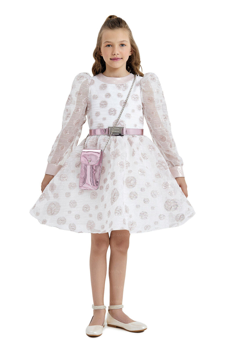 Powder Silvery Organza Dress 8-12 AGE 33086PR - 1