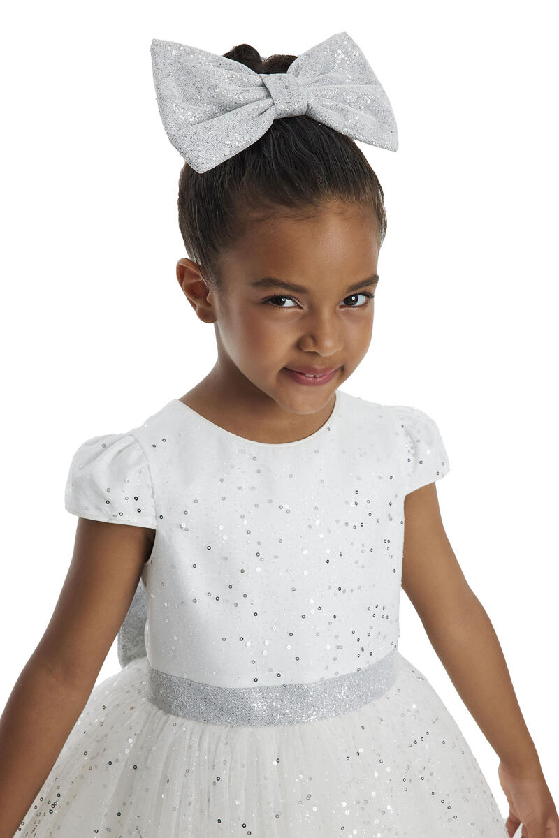 Ecru Girl's Glittery Tulle Dress 3-7 AGE 34001PR - 4